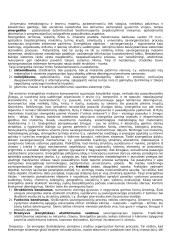 Saviorganizacija ir sinergetika 2 puslapis