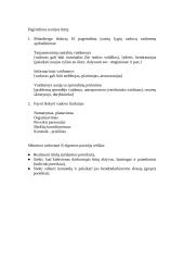 Vadyba, vadovavimas ir vadovas 2 puslapis