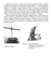 Galilėjas Galilėjus 4 puslapis