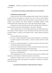 Gido ir kelionių vadovo paslaugos 7 puslapis