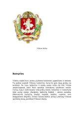 Vilniaus miesto istorija 2 puslapis