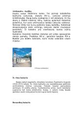 Vilniaus miesto istorija 3 puslapis