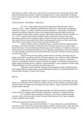 Renesanso menas ir mokslas 4 puslapis