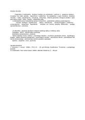 Antano Vaičiulaičio gyvenimas bei kūryba 2 puslapis