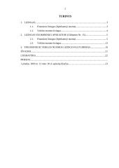 Ilgalaikio turto įsigijimo finansavimo kelių transporto įmonėje parinkimas 2 puslapis