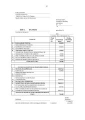 Ilgalaikio turto įsigijimo finansavimo kelių transporto įmonėje parinkimas 12 puslapis