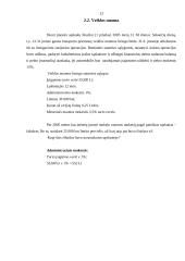 Ilgalaikio turto įsigijimo finansavimo kelių transporto įmonėje parinkimas 13 puslapis