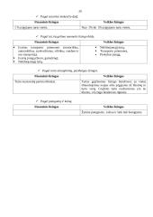 Ilgalaikio turto įsigijimo finansavimo kelių transporto įmonėje parinkimas 20 puslapis