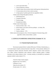 Ilgalaikio turto įsigijimo finansavimo kelių transporto įmonėje parinkimas 5 puslapis