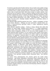 Maironio gyvenimo faktai ir kūrybos apžvalga 4 puslapis