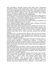 Maironio gyvenimo faktai ir kūrybos apžvalga 6 puslapis