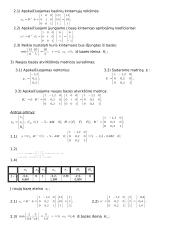 Modifikuotas Simplekso metodas 3 puslapis