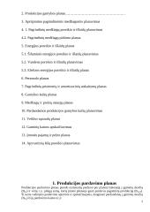 Įmonės veiklos metinis planas 2 puslapis