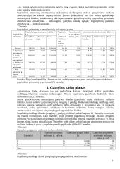 Įmonės veiklos metinis planas 11 puslapis