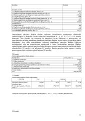 Įmonės veiklos metinis planas 12 puslapis