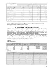 Įmonės veiklos metinis planas 13 puslapis