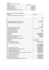 Įmonės veiklos metinis planas 17 puslapis