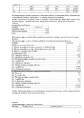 Įmonės veiklos metinis planas 6 puslapis