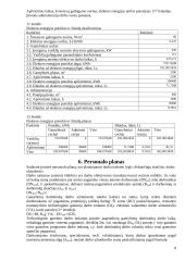 Įmonės veiklos metinis planas 8 puslapis