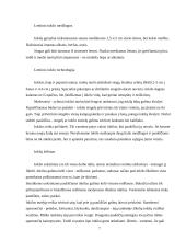 Inkilai: gamyba ir kėlimas 7 puslapis