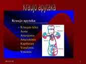 Kraujotaka 9kl 11 puslapis