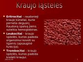 Kraujotaka 9kl 10 puslapis