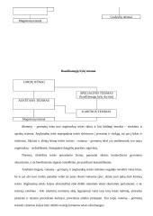 Teisinis precedentas ir jo samprata 19 puslapis