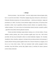 Teisinis precedentas ir jo samprata 3 puslapis