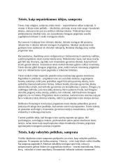 Teisės sampratų įvairovė Lietuvoje 8 puslapis