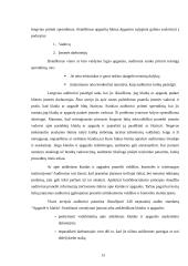 Klaidos ir apgaulė audite, jų esmė ir skirtumai 13 puslapis