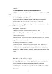 Klaidos ir apgaulė audite, jų esmė ir skirtumai 17 puslapis