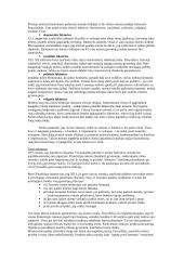 Miestų teisė 2 puslapis