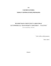 Kosmetikos krovinio gabenimas automobilių transportu: maršrutas Rokiškis-Talinas