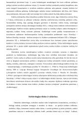 Kultūra – kultūrologijos pažinimo ir tyrimo objektas 2 puslapis