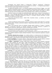 Geras pasiruošimas vadybos egzaminui 3 puslapis