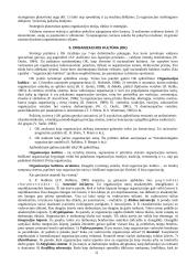 Geras pasiruošimas vadybos egzaminui 10 puslapis