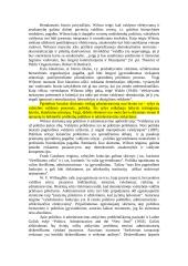 Viešojo valdymo problemos ir perspektyvos 2 puslapis