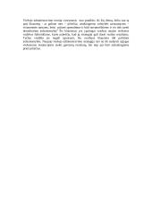 Viešojo valdymo problemos ir perspektyvos 9 puslapis