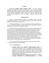 Lietuvos BVP įvertinimas gamybos metodu 2 puslapis