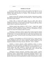 Lietuvos BVP įvertinimas gamybos metodu 6 puslapis