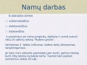 Kalbos dalių kartojimas 11 puslapis