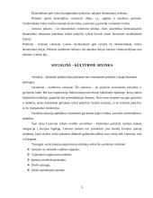 Lietuvos verslo aplinkos analizė ir įvertinimas 4 puslapis