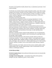 Pirma komunija 2 puslapis