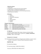 Pirma komunija 3 puslapis