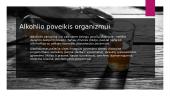 Alkoholio poveikis bei rūšys 2 puslapis