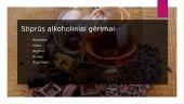 Alkoholio poveikis bei rūšys 6 puslapis