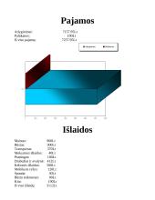 Mano šeimos biudžeto apskaičiavimai 3 puslapis
