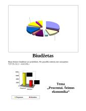 Mano šeimos biudžeto apskaičiavimai 4 puslapis