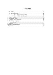 Marketingo planas: Daumantų padažas UAB "Vesiga" 2 puslapis