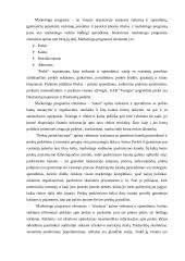 Marketingo planas: Daumantų padažas UAB "Vesiga" 11 puslapis